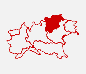 appalti regione trentino alto adige - Trentino Alto Adige